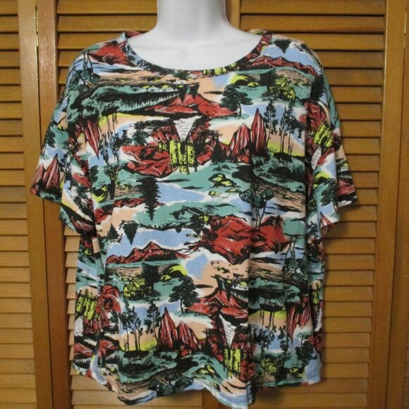Zara top soft, stretchy, shorter length pullover tee, nature scene size L - Picture 1 of 6